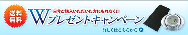 Wプレゼントキャンペーン中！詳しくはこちらから&rArr;