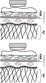 バリヤゾーン