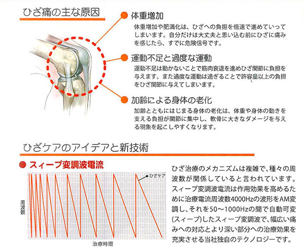 ひざ痛の主な原因は、●体重増加●運動不足と過度な運動●加齢による身体の老化