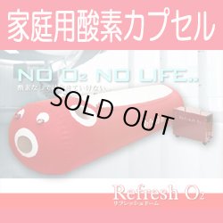 画像1: 【中古】家庭用酸素カプセル　1.12気圧　2台入荷