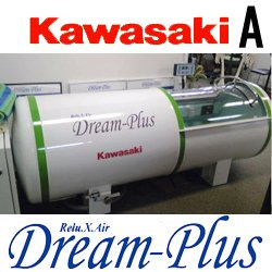 画像1: 【中古品】KAWASAKIドリームプラス 1.3気圧 程度良好A