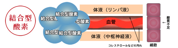 結合型酸素　説明イラスト