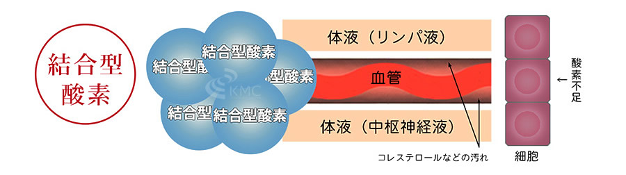 結合型酸素