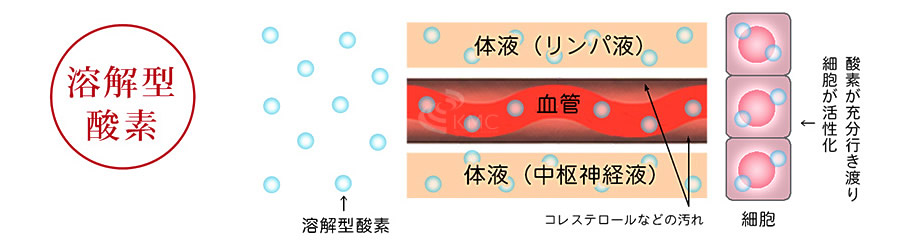 溶解型酸素