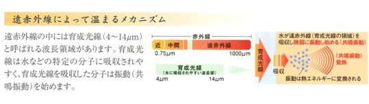 足の助　遠赤外線