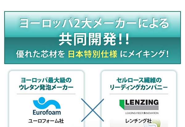 ヨーロッパ2大メーカーによる共同開発！！