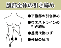 “ポッコリお腹”対策