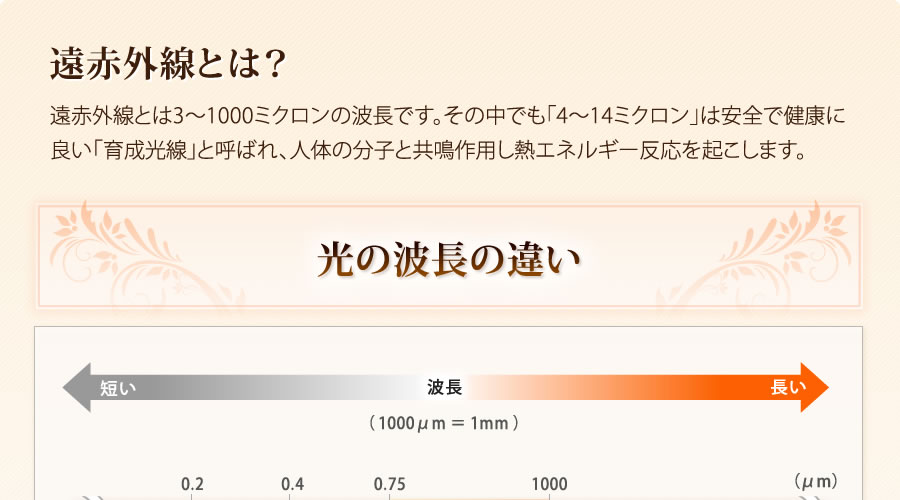 遠赤外線とは？