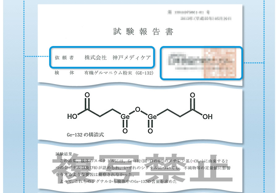 試験報告書