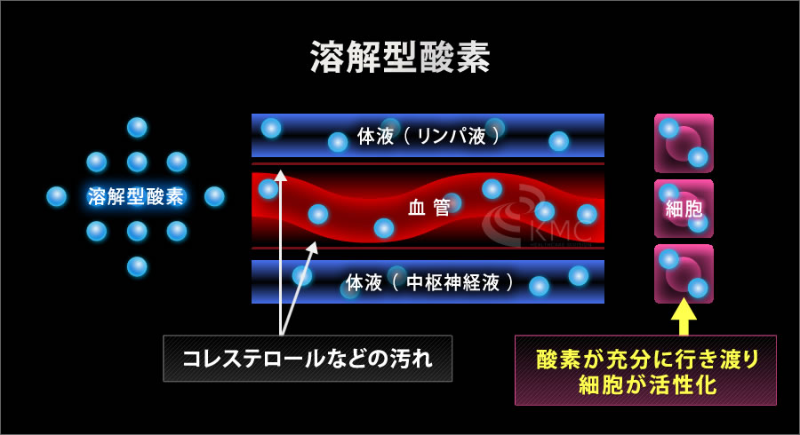 溶解型酸素説明イラスト