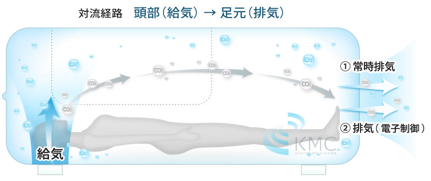 対流経路イメージ図