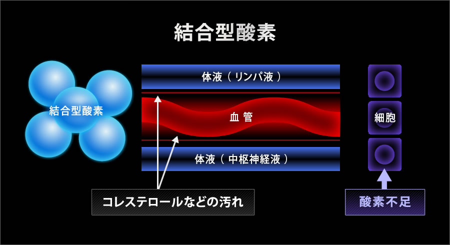 結合型酸素説明イラスト