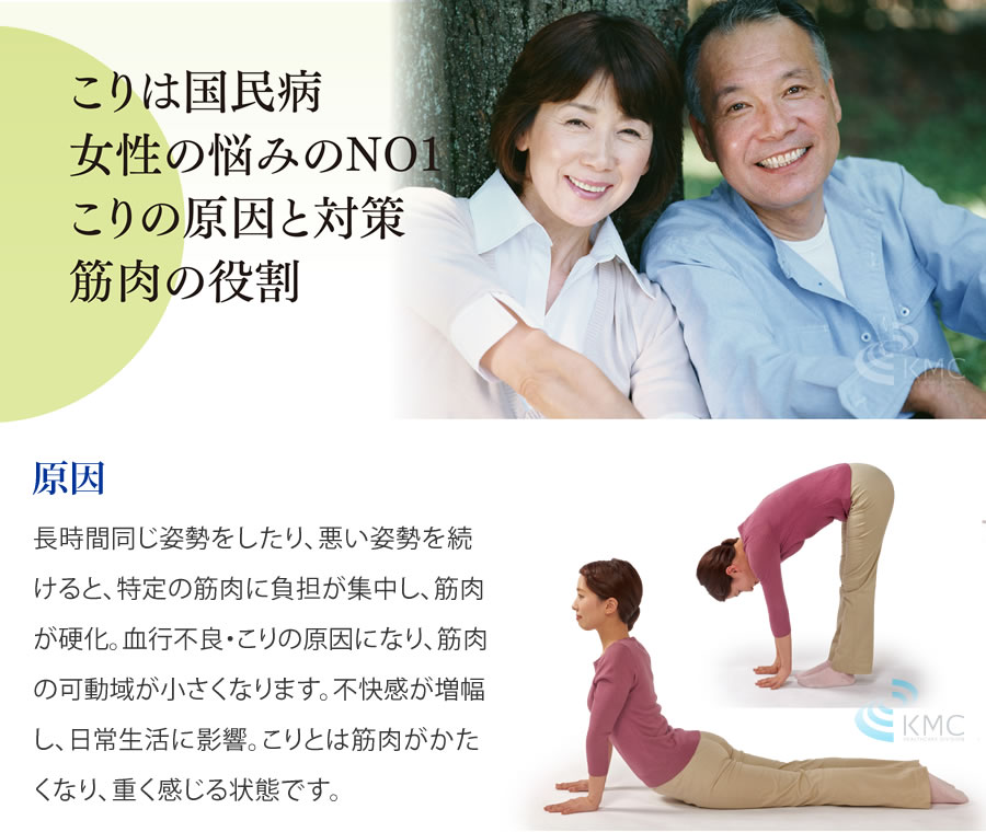 こりは国民病。女性の悩みのNO1。こりの原因