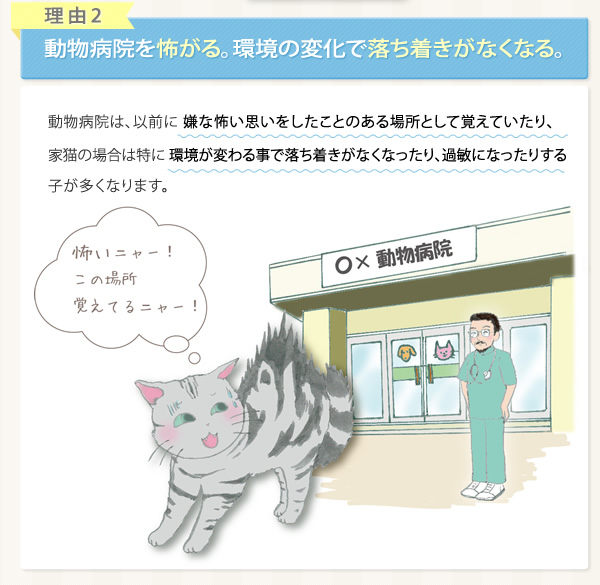 動物病院を怖がる。環境の変化で落ち着きがなくなる。