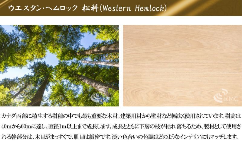 材質 ウエスタン・ヘムロック 松科（Western Hemlock）