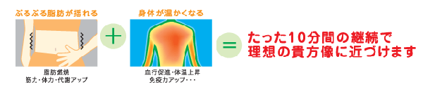 脱メタボリック　一日10分で理想の体に