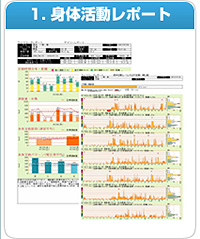 1.身体活動レポート