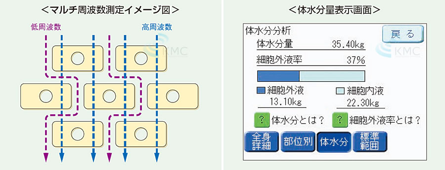 タニタ（TANITA）業務用マルチ周波数体組成計 MC-180