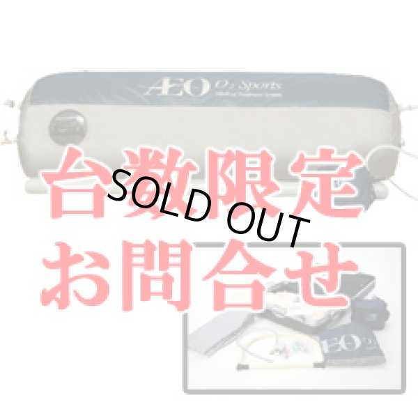 画像1: 【家庭用酸素カプセル】イオ・O2スポーツ・最大1.2気圧 【販売中止】
