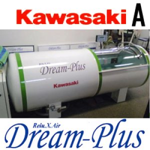 画像: 【中古品】KAWASAKIドリームプラス 1.3気圧 程度良好A